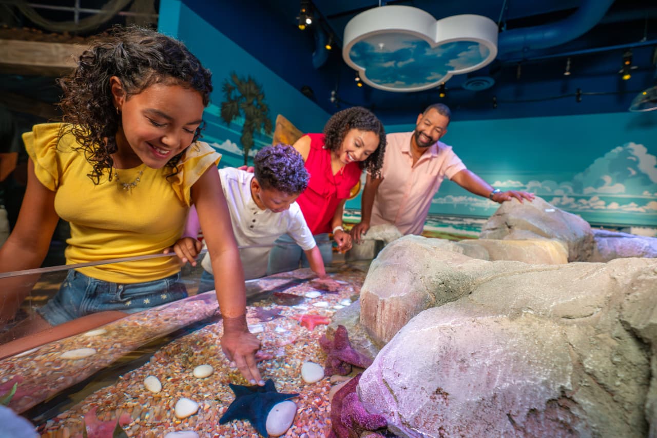 COMBO: The Merlin Florida Ticket - Admission to 7 Family Attractions - image 14