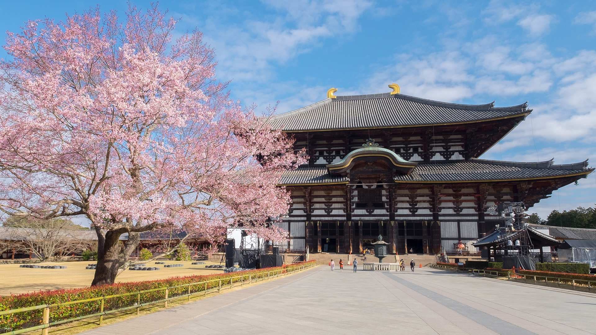 Kintetsu Rail Pass - Train & Bus Pass in Osaka, Nara, Kyoto, Mie (Ise Shima), Nagoya - image 7